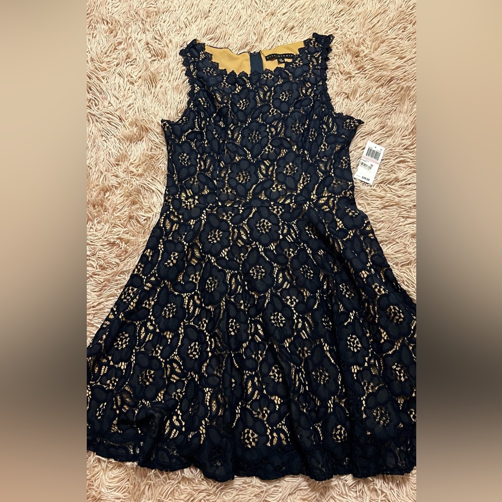 Juniors Lace Fit and Flare Navy/Nude Dress, Size 13